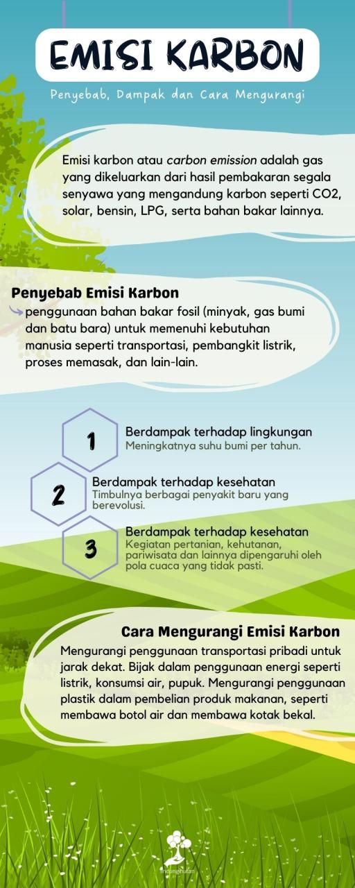 Transportasi Ramah Lingkungan: Mengurangi Emisi Karbon melalui Mobilitas Cerdas