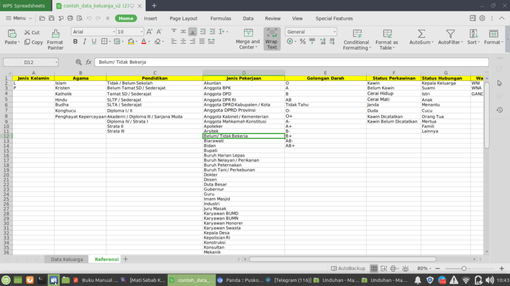 input persiapan data penduduk