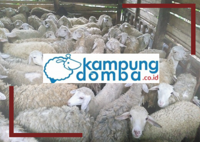Kampung Domba